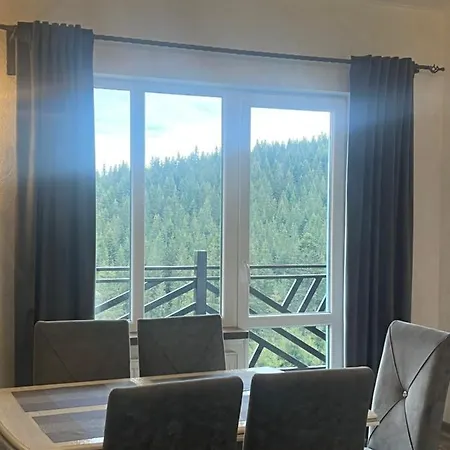 мелодія гір .апартаменти з видом на гори . Appartamento Vorokhta