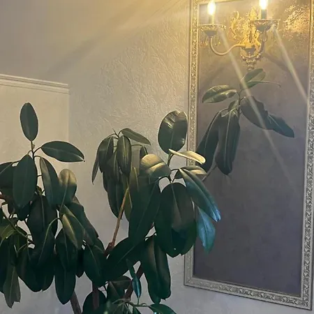 мелодія гір .апартаменти з видом на гори . *