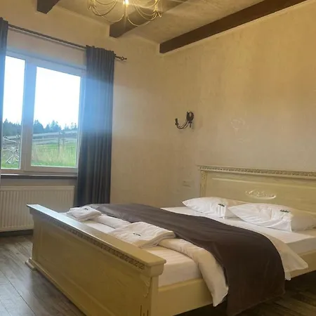 мелодія гір .апартаменти з видом на гори . *