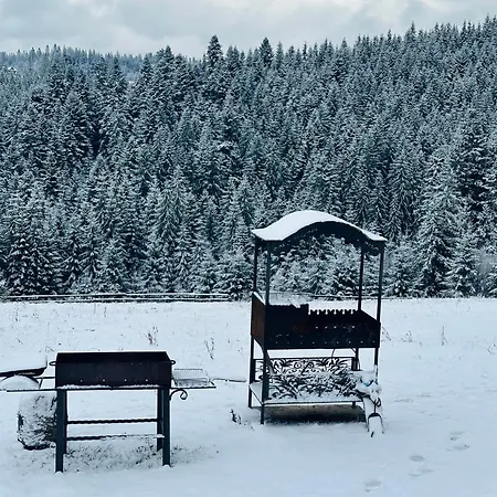 мелодія гір .апартаменти з видом на гори . Appartamento Vorokhta