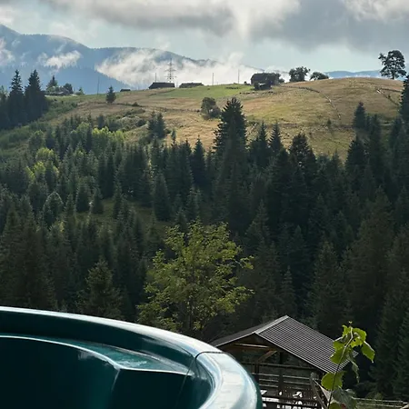 мелодія гір .апартаменти з видом на гори . * Vorokhta