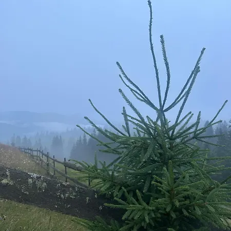 мелодія гір .апартаменти з видом на гори . Appartamento *