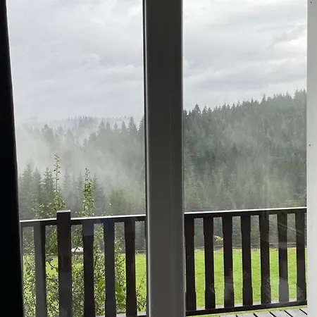 мелодія гір .апартаменти з видом на гори . Vorokhta