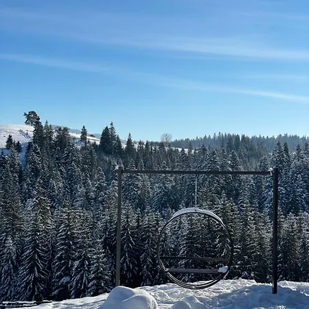 мелодія гір .апартаменти з видом на гори . Appartamento Vorokhta