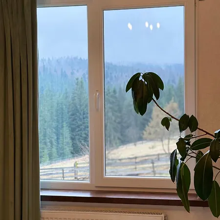 мелодія гір .апартаменти з видом на гори . Apartman