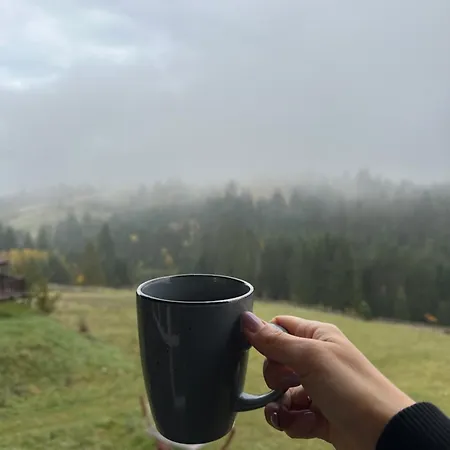 мелодія гір .апартаменти з видом на гори . Vorokhta