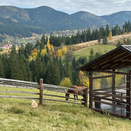 Appartamento мелодія гір .апартаменти з видом на гори . *